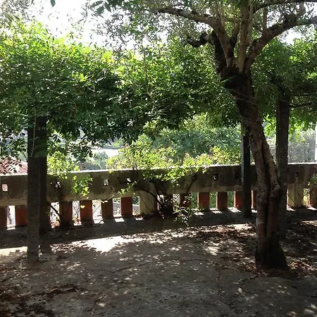 Memorias Da Serra * 부젤라