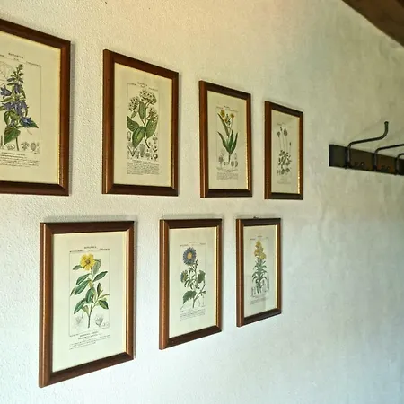 Tatil Evi Memorias Da Serra *