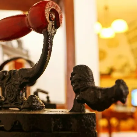 Tatil Evi Memorias Da Serra Vouzela