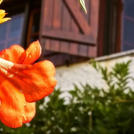 Memorias Da Serra Tatil Evi *