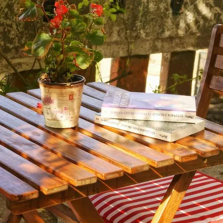 Tatil Evi Memorias Da Serra Vouzela